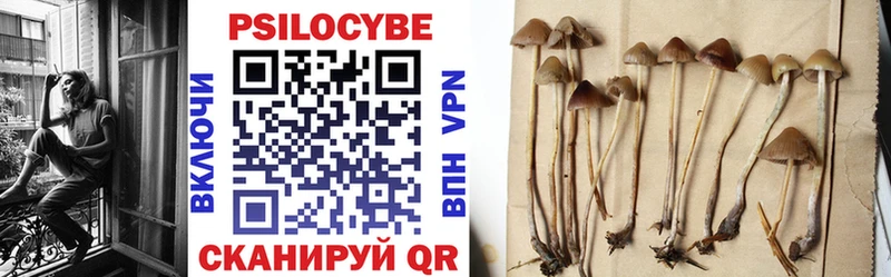 Псилоцибиновые грибы Magic Shrooms  купить наркотик  Салават 